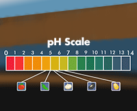 pH scale and salsa ingredients pH level