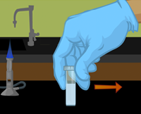 dropping 95% alcohol solution on slide