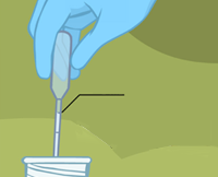 Measruing liquid with pipette